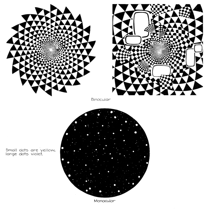 Dr. Neil Greenberg » A&O EXCERPT ABOUT PHOSPHENES (1981)